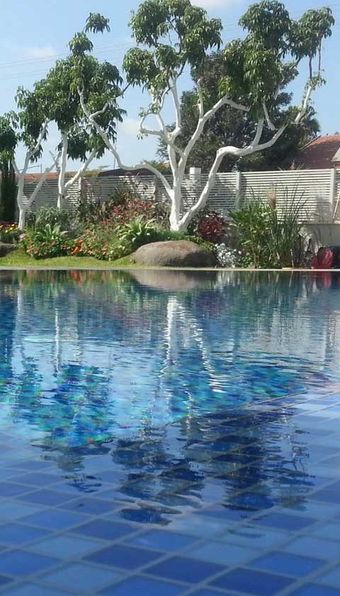 כל מה שאתם צריכים לדעת על בריכות בטון