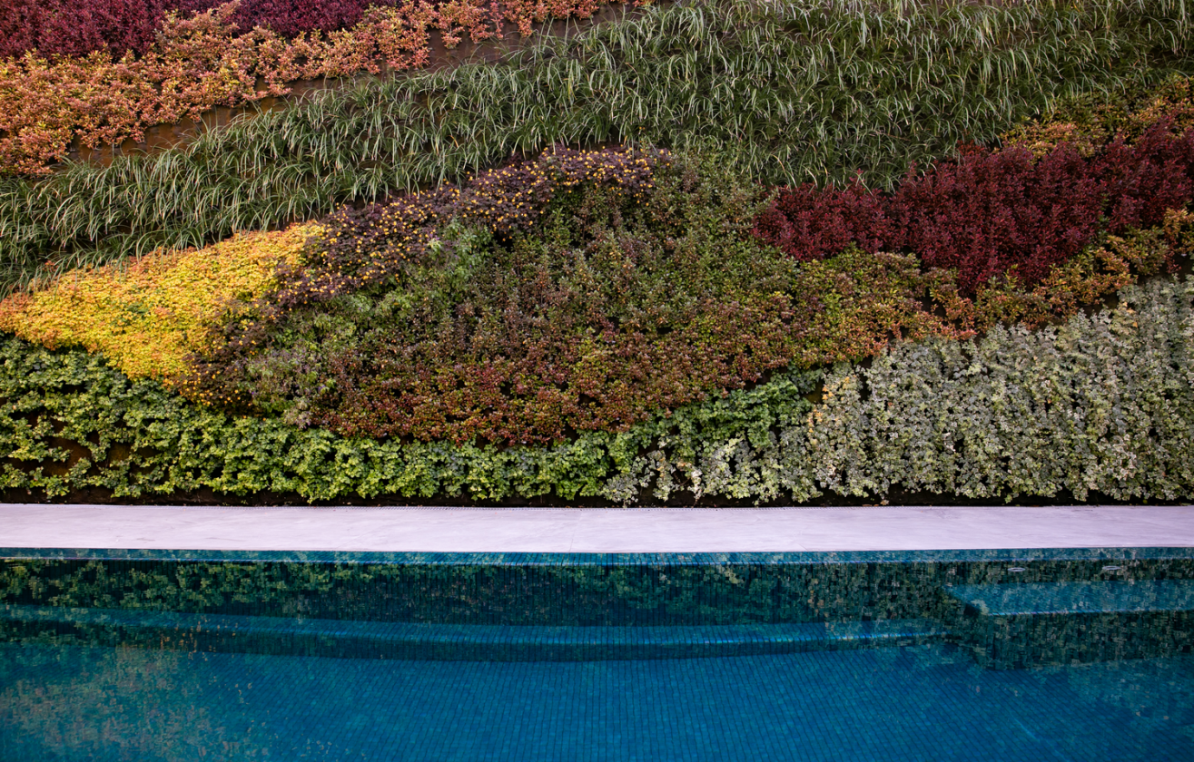 פרויקט מלחה ירושלים-עיצוב בריכות