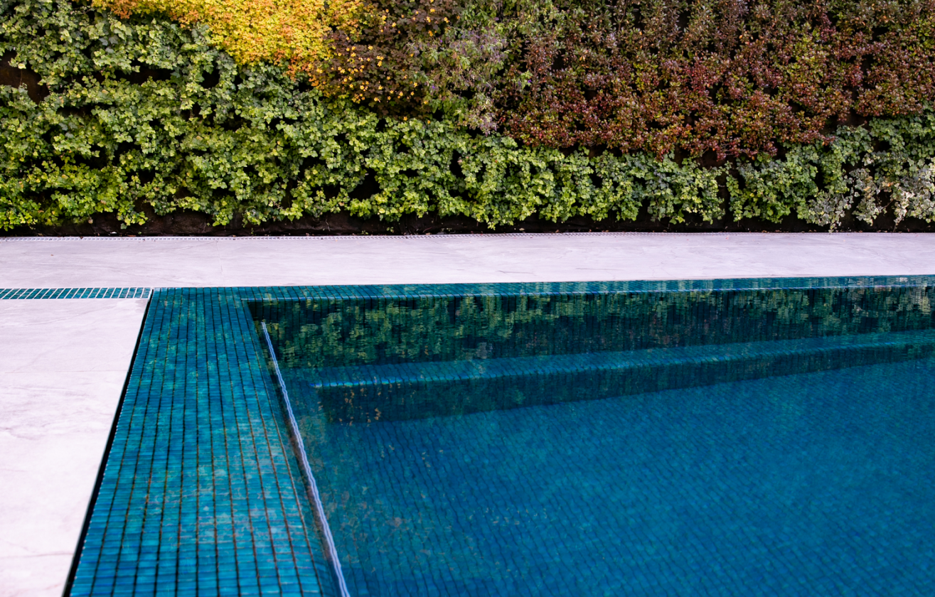 פרויקט מלחה ירושלים-עיצוב בריכות שחיה